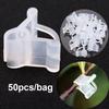 50pcs/bag Plastic Garden Grafting Clips Transparent Vegetable Flower Plants Grafting Gardening Ornaments Tools Vine Plant K5