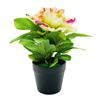 Artificial Potted Peony Flower Home Office Living Room Table Centerpiece Wedding Faux