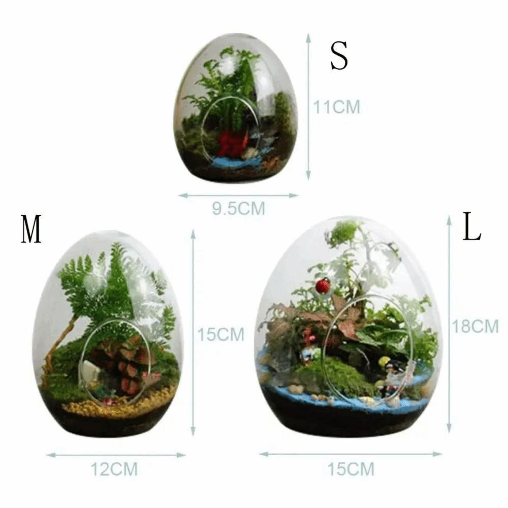 Exquisite Succulent Glass Vase Transparent Micro Landscape Moss Bottle Hydroponic