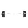 VidaXL Dumbbell 30 Kg Weight Fitness Exercise Weight Training Weight 90373
