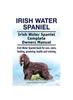 Книга Irish Water Spaniel. Irish Water Spaniel Complete Owners Manual. Irish Water Spaniel Book for Care, Costs, Feeding, Grooming, Health and Training.