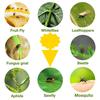 10pcs of Yellow Insect Traps, Garden Flower Traps, Traps to Eliminate Pests, Small Flying Insects, Small Black Flying in