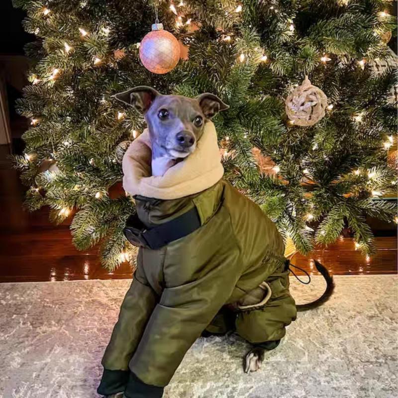 Winter Dog Clothes Windproof Warm Dogs Clothing Large Pet Dog Coat Overalls Accessories Jumpsuit Skinny Dog Greyhound Product