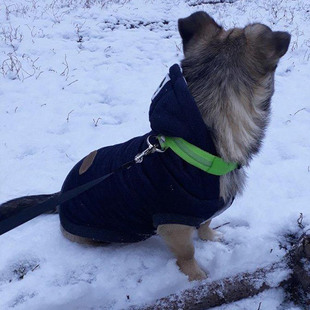 Зимняя одежда для собак, теплый хлопок для маленьких собак, флисовая куртка для щенков, мягкая куртка для собак, толстовка с капюшоном для чихуахуа, наряд для ши-тцу, одежда Yorkies Customes