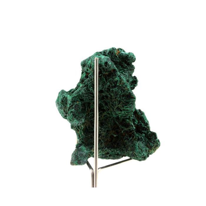 Pierres et Minéraux. Malachite. 311.5 ct. Katanga, Congo.