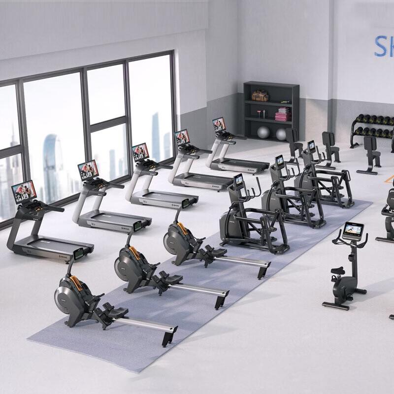 Shuhua Plate-Loaded Leg Press & Squat Trainer