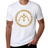 Crest of Miracles TShirt Big and Tall Gym TShirt