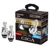 BW904 GIGA HID D4S LED Head Bulb D10 Series, 6000K, Japanese Design, 3 Years Warranty, With Pong