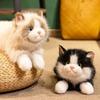 Пушистая плюшевая кукла кошка рэгдолл, озвученная модель котенка, новая реалистичная кукла кошка, для детей