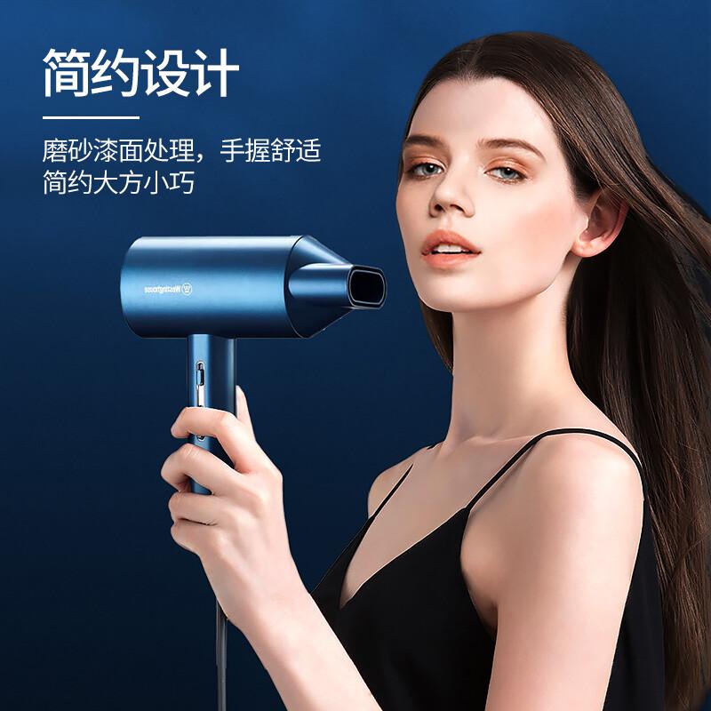 Westinghouse Portable Hair Dryer
