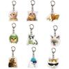 Quirky Cat Expression Key Holder Lightweight Acrylic Keychain Bag Pendant Versatile Use for All Ages Women and Girls