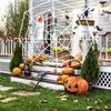 Halloween Decoration Fixable Simulation Spider-Web Decorative Props For Home