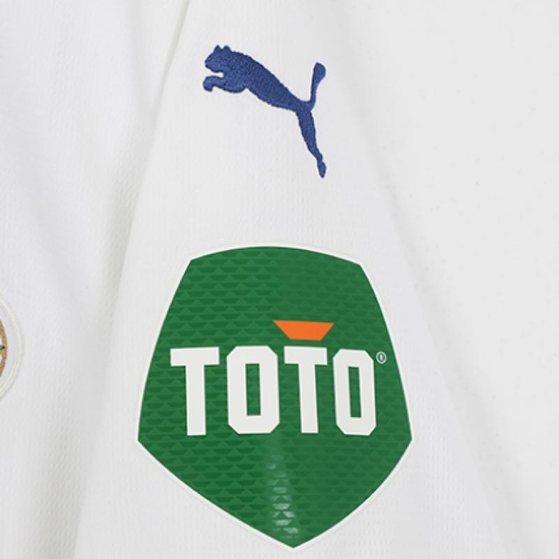 Puma ПСВ Эйндховен 2024 25 Третья майка