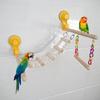Parrots Ladder Scratchers Perch Stands Bird Stand Suction Cup Wood Stick Ladder Branch Ladder Standing