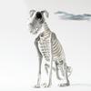 Halloween Skeleton Dog Spooky Skeleton Animal Realistic Halloween Skeleton Dog Statue Skull Bone Art Ornaments for Party Haunted