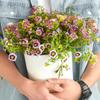 Yingtang Anthony European Style Plastic Planter