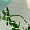 Подвесная клетка для домашней птицы, попугая, теплая гамачная хижина, палатка, теплая, прочная, износостойкая, подвесная пещера, клетка для сна и высиживания, украшение