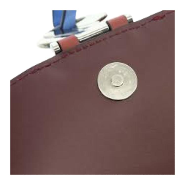 Longchamp Box-Trot Logo Snap Stripe Flap Adjustable Shoulder Strap Leather Envelope Bag Medium Women Shoulder Bag Burgundy 10175HDV261