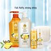 Phoenix Healthy Hair Shampoo & Conditioner Value Pack