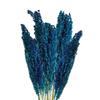 Cantal Grass Bunch Blue 6 Pack