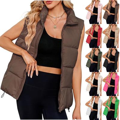 Женская модная хлопковая куртка без рукавов с воротником-стойкой, утолщенная жилетка на молнии