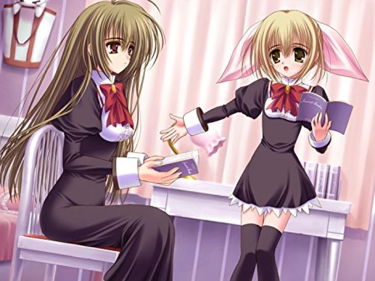 Коллекция Caramel BOX Virgin wa Oneesama ni Koishiteru Pack Popular Edition 1 и 2