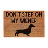 Non- Door Mat, Indoor And Outdoor Carpet, Home Welcome Mat