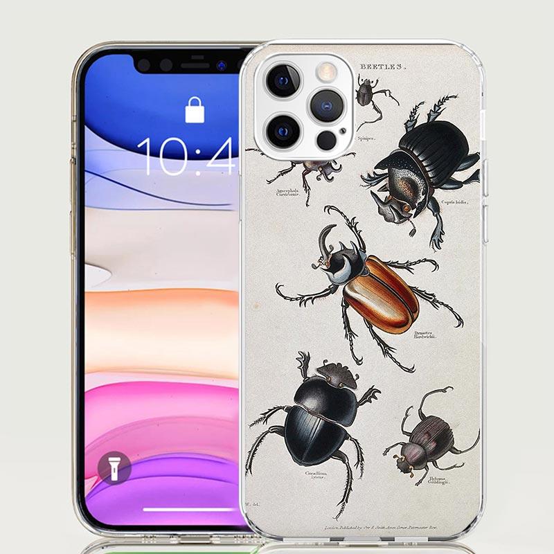 Bugs Bees Scientific Decomposition Phone Case for Apple iPhone 17 Air 16 15 Plus 14 + 13 Mini 12 11 Pro Max 7 8 SE 16Max Soft Sh