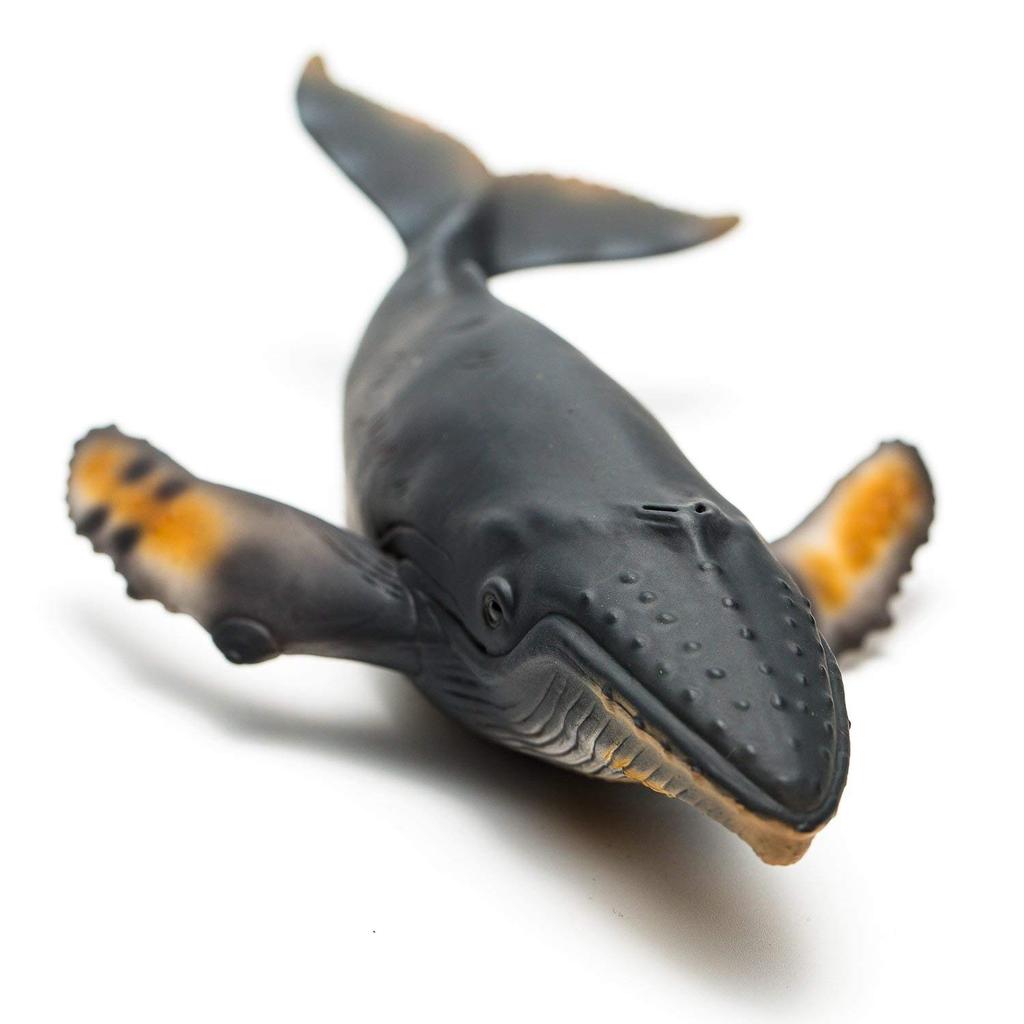 CollectA Humpback Whale Figure 88347