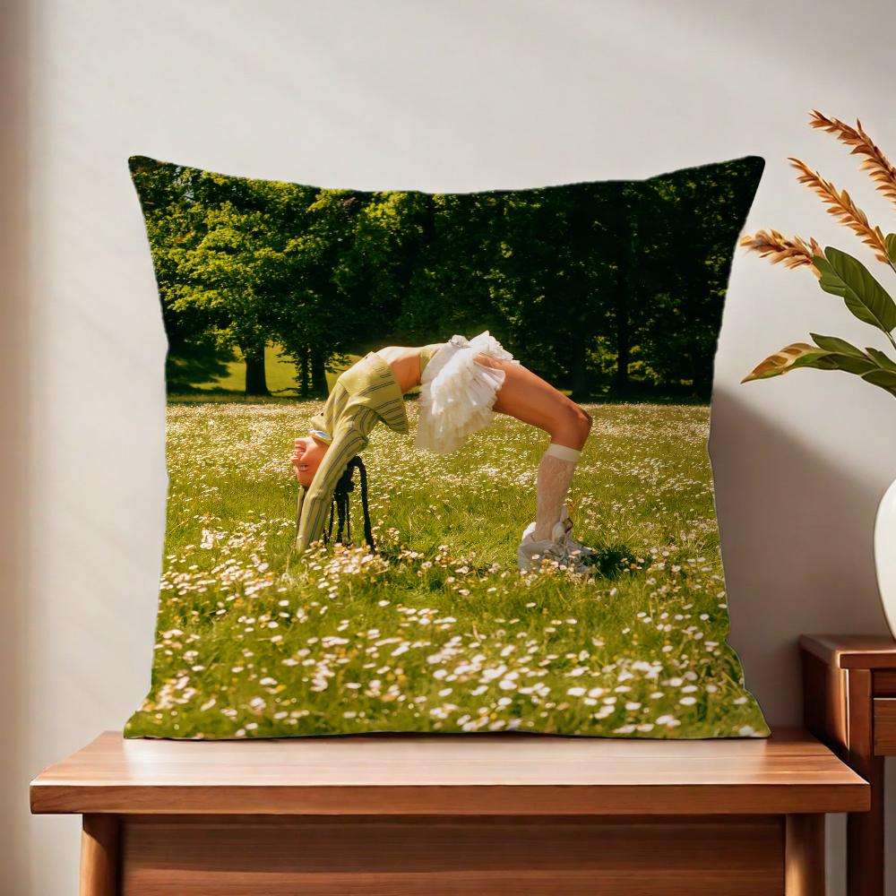 NNina singer CChubaa cushion cover For Pillow Printing Sofa Decoration Home Car Room Coffee Shop Office Nordic Simplicity