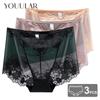3PCS/Lot Sexy Lingerie Underwear Women Lacy Plus Size Panties Women's Ropa Mujer Perforated See-through Briefs Ropa Interior Femenina New