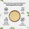 CARMEL ORGANICS Ashwagandha Root Powder, 100 Grams, Jaivik Bharat Certified, Pure Natural | Ashwagandha Podi/Amukkara Kizhangu/Asvagandha Churna
