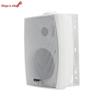 30W Indoor Wall-Mounted Wired Broadcast Speaker