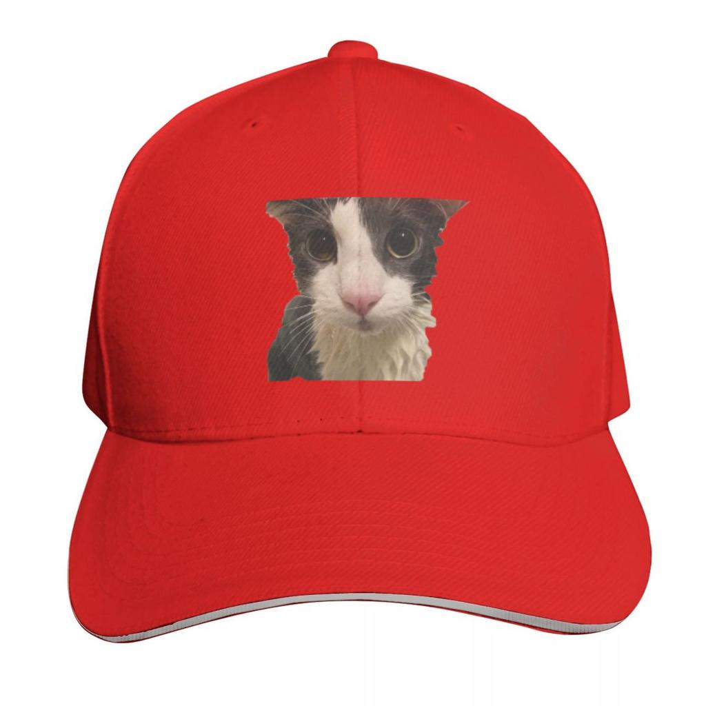 Soggy Cat Baseball Cap funny hat Rugby western Hat Fishing cap Womens  Unisexs