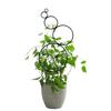 Indoor Plant Trellis Climbing Vine Rack for Garden Climbing Plant Metal Wire Stake Potted Plant Houseplant Lover Gifts