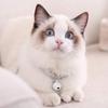 Japanese Pets Cat Collar Adjustable Kitty Kitten Necktie Nylon Necklace Grooming Accessories Pet Supplies with Bell Extension Chain for Wedding Party