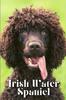 Книга Irish Water Spaniel : Dog Breed Overview and Guide