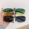 Fashion Photochromic Glasses for Men Women Vintage Fashion Shades