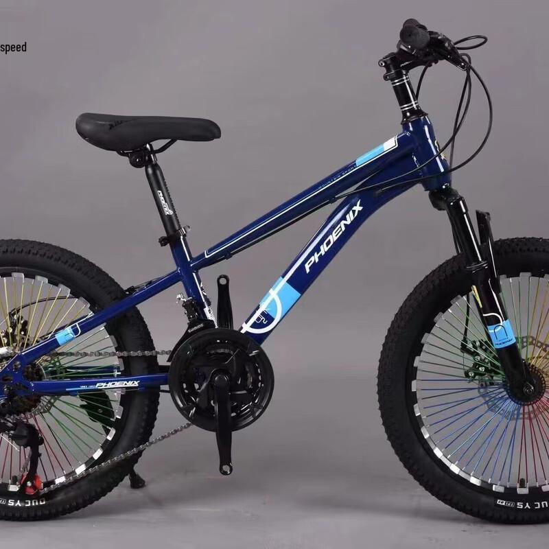 Phoenix 22-inch Youth Mountain Bike