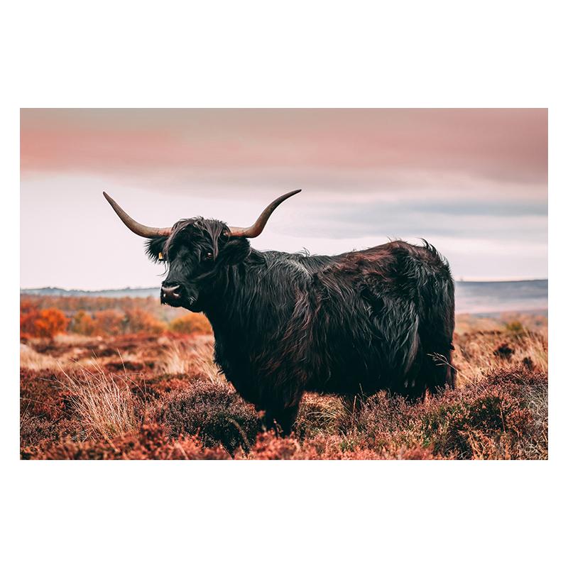 Scottish Highland Brown Cow Painting Canvas Print Poster Rustic Wall Art Farm Animals Picture for Living Room Home Decor Cuadros