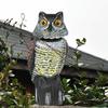 Bird Rabbit Owl Scarecrow Nature for Outdoor Garden