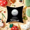 Модная Классная Наволочка T-T-Titleists Плюшевая Ткань Мягкая Двусторонняя Печать Диванная Теплая Зимняя Домашняя Подарок Наволочка