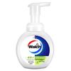 Walch Foaming Antibacterial Hand Wash - Lime Moisturizing 2-Pack