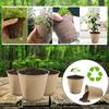 Peat Seedling Pot 8cm  Seedling Cup Round Flower Pot