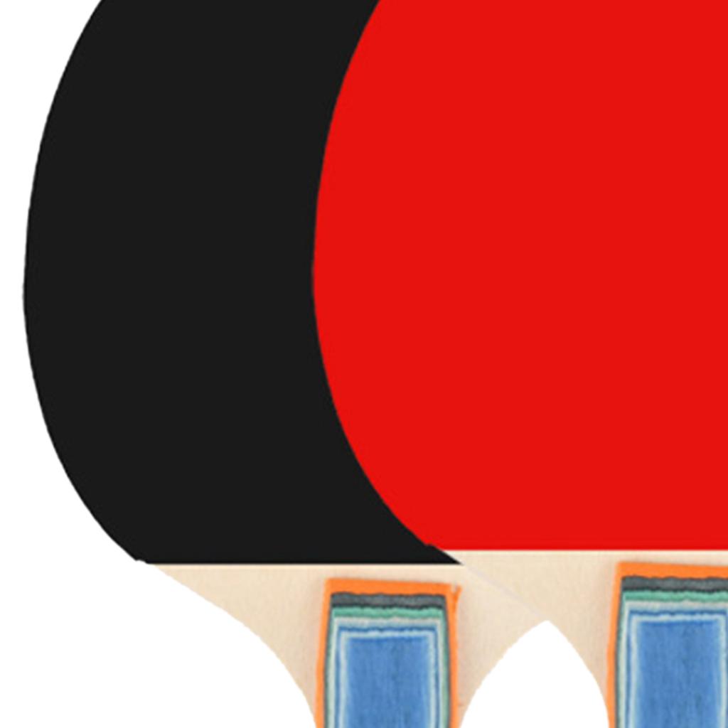 2Pcs Table Tennis Racket with 3 Pong Ball Table Pong Ball Paddle Set for Gym Sporting