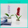 Simulation Plant Hyacinth Pot With Plastic And Silk Material For Home Wedding And Photography Uses