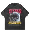Streetwear British Shorthair Graphic T-Shirt Cotton Washed Black Tshirt Unisex Tops Tees Summer Short Sleeves T Shirt