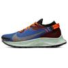 Pegasus Trail 2 Gore-Tex Mystic Dates Blue 2020 - CU2018-600
