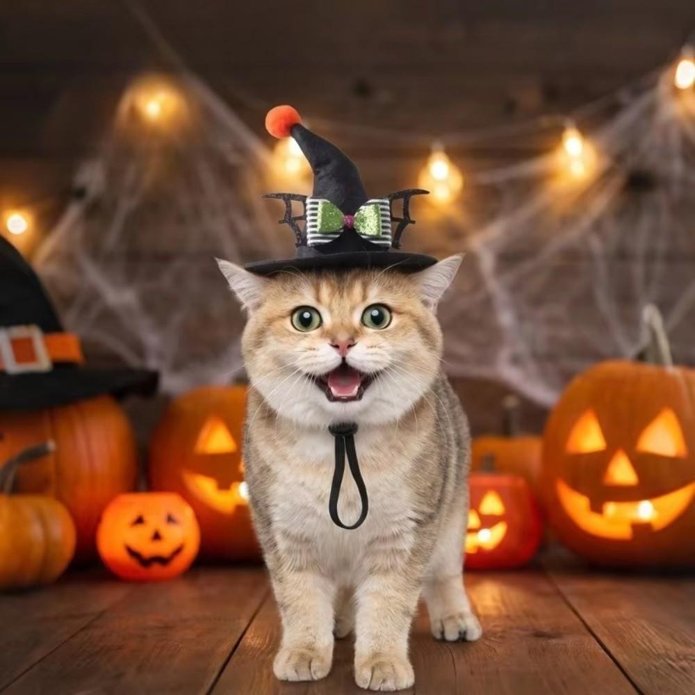 Adjustable Strap Pet Halloween Witch Hat Curved Top Dog Halloween Party Hat Holiday Decoration