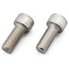 Болт крепления суппорта Daytona M10×25 P1.25 48008